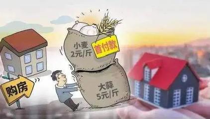 小麥換房、西瓜換房、首付分期&hellip;為何被叫停?