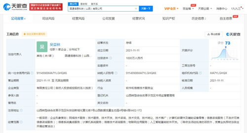 軟件開發(fā) 過程、挑戰(zhàn)與未來趨勢